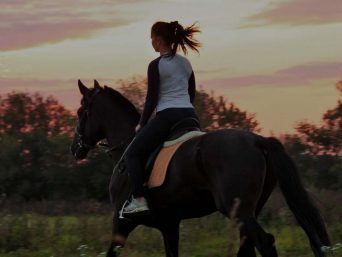 horse-riding-corfu-travel-agency